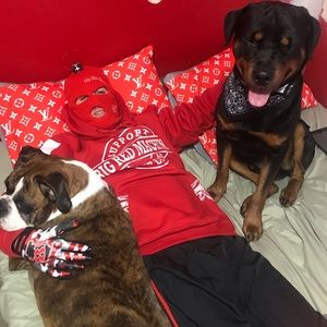 Meet your Posher, Courtney